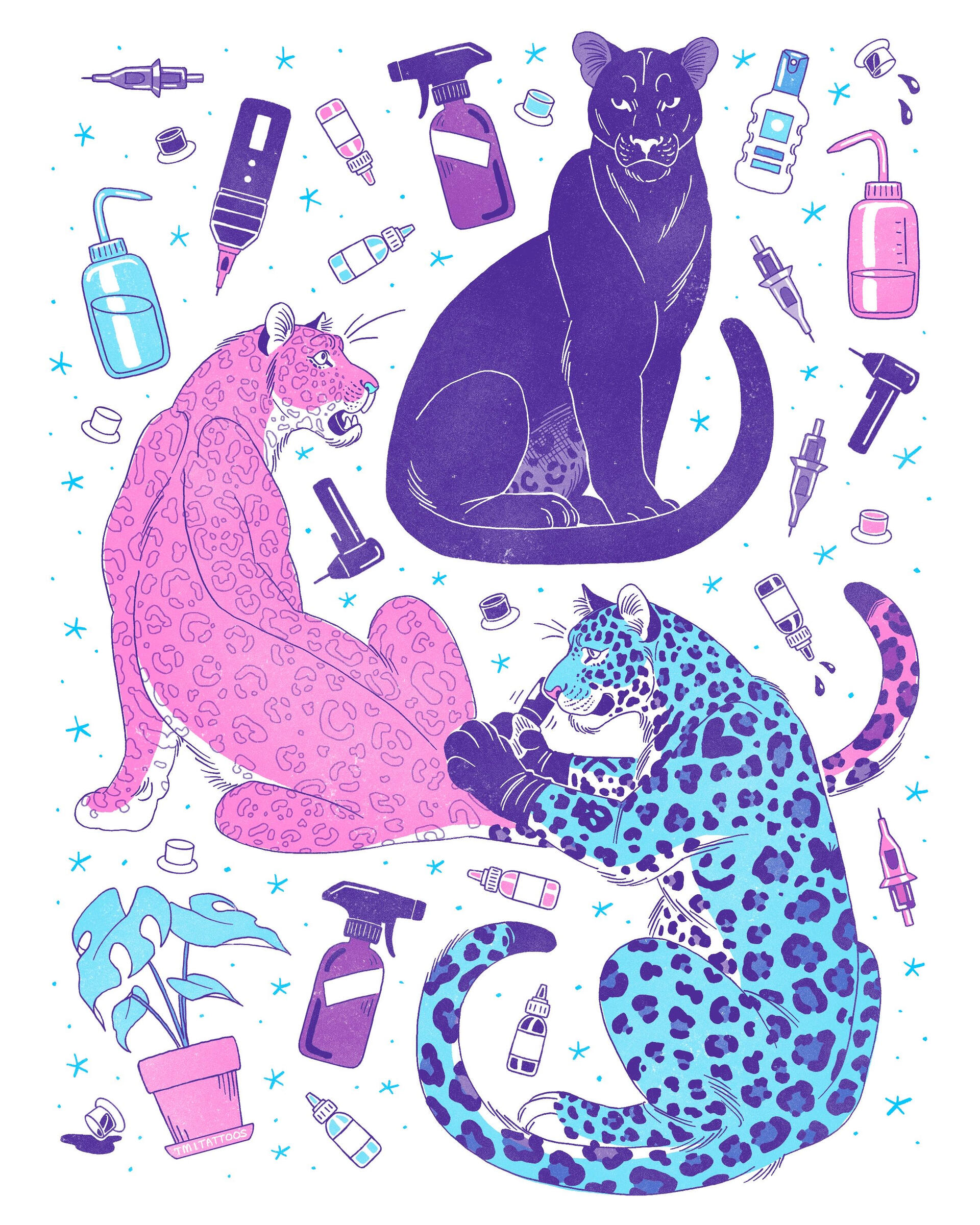 Spots Procreate App, 2026